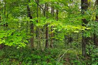 Property in Menominee County, Wisconsin