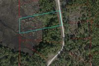Undeveloped Land for sale in Levy County, Florida