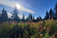 Undeveloped Land for sale in Kenai Peninsula Borough, Alaska