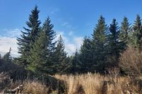 Undeveloped Land for sale in Kenai Peninsula Borough, Alaska