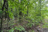 Property for sale in Kalkaska County, Michigan