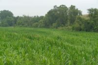 Property in Green County, Wisconsin