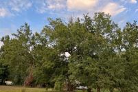 Property for sale in Pike County, Arkansas