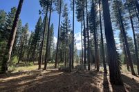 Property for sale in Plumas County, California