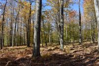 Property in McKean County, Pennsylvania