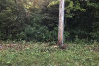 Undeveloped Land for sale in Pike County, Indiana