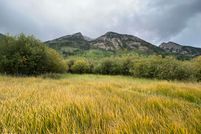 Property in Garfield County, Colorado
