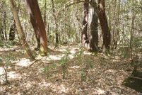 Property for sale in Trinity County, California