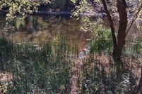 Lakefront Property for sale in Washington County, Virginia
