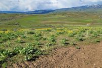 Property in Adams County, Idaho