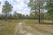 Undeveloped Land for sale in Livingston Parish, Louisiana