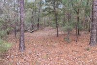 Undeveloped Land for sale in Florence County, South Carolina
