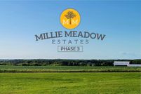 Undeveloped Land for sale in Olmsted County, Minnesota