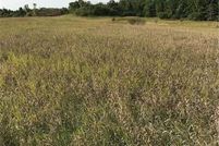 Property for sale in Olmsted County, Minnesota