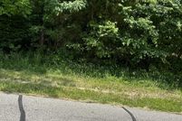 Property in Spencer County, Indiana