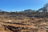 Undeveloped Land for sale in Dallas County, Arkansas