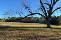 Undeveloped Land for sale in Grady County, Georgia