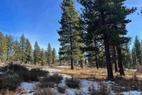 Undeveloped Land for sale in Douglas County, Nevada