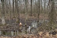 Property for sale in Limestone County, Alabama