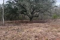 Property for sale in Livingston Parish, Louisiana