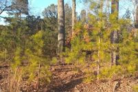 Property for sale in Cherokee County, Georgia