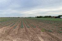 Property for sale in Hidalgo County, Texas