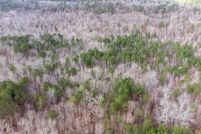 Property for sale in Saint Clair County, Alabama