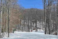 Property for sale in Emmet County, Michigan