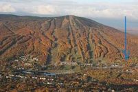 Undeveloped Land for sale in Windham County, Vermont