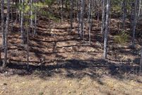 Undeveloped Land for sale in DeKalb County, Alabama