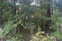 Property in Dale County, Alabama