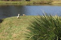 Residential Property for sale in Henry County, Alabama