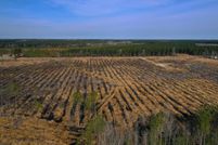 Undeveloped Land for sale in Pitt County, North Carolina