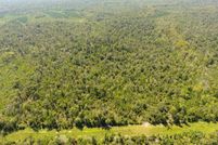 Undeveloped Land for sale in Allen Parish, Louisiana