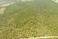 Undeveloped Land for sale in Allen Parish, Louisiana