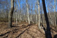 Undeveloped Land for sale in Frederick County, Virginia