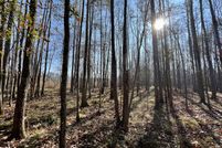 Undeveloped Land for sale in Dallas County, Alabama