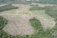 Undeveloped Land for sale in Liberty County, Georgia