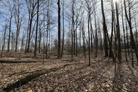 Undeveloped Land for sale in Morgan County, Indiana