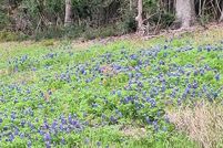 Property for sale in Limestone County, Texas