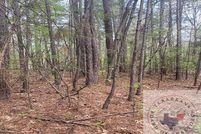 Undeveloped Land for sale in Bowie County, Texas