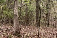 Undeveloped Land for sale in Hamilton County, Tennessee