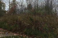 Property for sale in Saint Clair County, Michigan