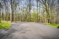 Undeveloped Land for sale in Washington County, Virginia