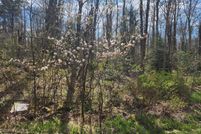 Property for sale in Lackawanna County, Pennsylvania