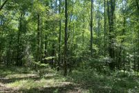 Property for sale in Crenshaw County, Alabama