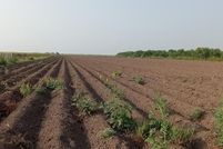 Property for sale in Hidalgo County, Texas