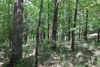 Undeveloped Land for sale in Garland County, Arkansas
