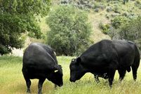 Property for sale in Monterey County, California