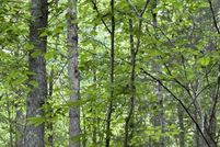 Property for sale in Adair County, Kentucky